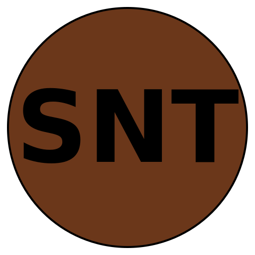 Savvy Network Travel